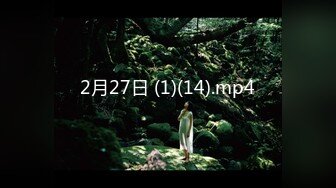 2月27日 (1)(14).mp4