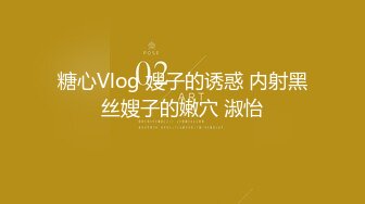 糖心Vlog 嫂子的诱惑 内射黑丝嫂子的嫩穴 淑怡