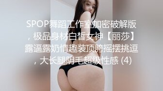 高清私拍之爆操情趣黑丝女友