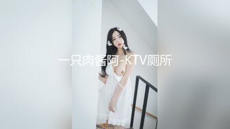 一只肉酱阿-KTV厕所