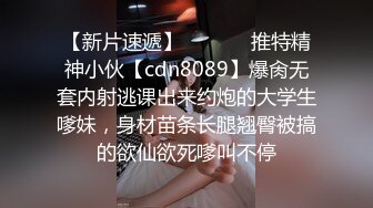 91经典系列资源整理合集P2【105V】 (29)