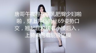 唐哥午夜寻花丰乳肥臀少妇啪啪，穿上开档肉丝69姿势口交，翘起屁股扶着小腰后入，上骑乘抱着屁股猛操