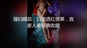 气质教师少妇！放学后开车接我去车震干她！