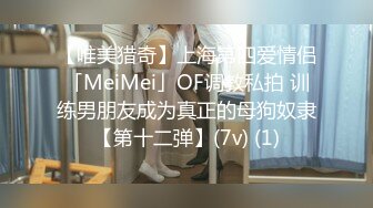 【唯美猎奇】上海第四爱情侣「MeiMei」OF调教私拍 训练男朋友成为真正的母狗奴隶【第十二弹】(7v) (1)