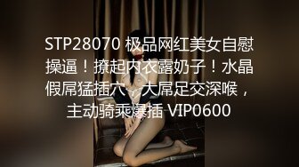 STP28070 极品网红美女自慰操逼！撩起内衣露奶子！水晶假屌猛插穴，大屌足交深喉，主动骑乘爆插 VIP0600