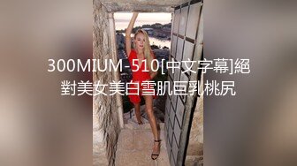 餐厅女厕全景偷拍几位喝多了的美女嘘嘘肥美的鲍鱼尽情的展示2 (2)