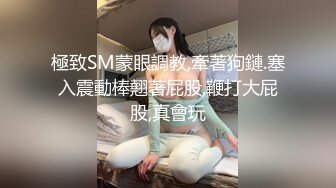 第一视角女上小母狗