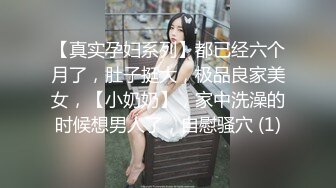 涩会传媒 SH006 《神屌侠侣》 谁操了我的小龙女 新人女优 谢冰岚