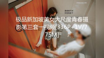 极品新加坡美女大尺度青春摄影第三套一视频[336P+1V/775M]