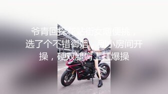 大屁股女友的后入