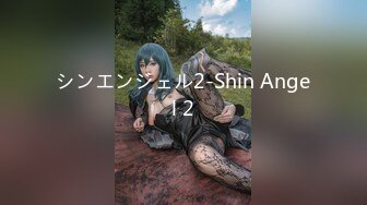 シンエンジェル2-Shin Angel 2