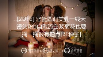 秀人网美乳模特尔兰酒店超私拍被摄影师用毛笔玩粉嫩小穴菊花