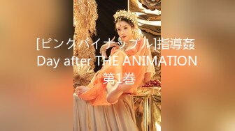 [ピンクパイナップル]指導姦 Day after THE ANIMATION 第1巻