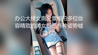 办公大楼女厕全景偷拍多位妆容精致的美女职员各种姿势嘘嘘 (2)