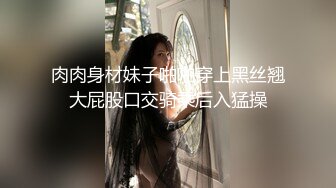 肉肉身材妹子啪啪穿上黑丝翘大屁股口交骑乘后入猛操