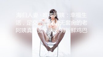 蜜桃传媒 pme-062 淫贱姐姐迷奸妹夫-娃娃