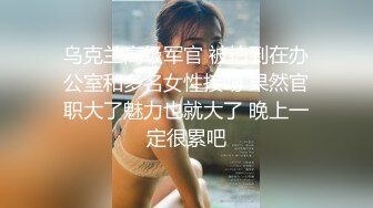 商场女厕垃圾桶暗藏摄像头  偷拍极品黑丝少妇的小肥鲍