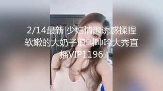 2/14最新 少妇情趣诱惑揉捏软嫩的大奶子浪叫呻吟大秀直播VIP1196