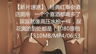 密友.第二十集.精东影业