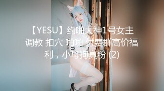 【YESU】约啪大神1号女主 调教 扣穴 啪啪 付费群高价福利，小母狗真粉 (2)