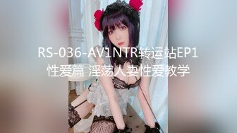 RS-036-AV1NTR转运站EP1性爱篇 淫荡人妻性爱教学