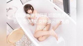 完美的女秘书