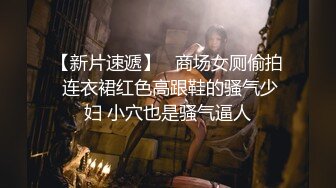 【新片速遞】   商场女厕偷拍 连衣裙红色高跟鞋的骚气少妇 小穴也是骚气逼人