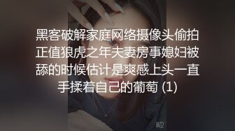 我的巨臀反差女友