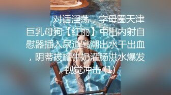 ⚫️⚫️对话淫荡，字母圈天津巨乳母狗【红丽】中出内射自慰器插入尿道高潮出水干出血，阴蒂拔罐牛奶灌肠洪水爆发，视觉冲击 (1)