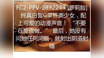 自录无水印 【兔子】P2高颜值巨乳热舞抖奶插道具12月25-29【20V】 (4)