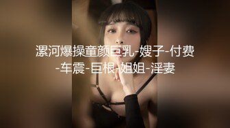 MDHG0005 麻豆传媒 这个面试有点硬 女优私密档案 MDHG 无口属性强欲学妹 林嫣