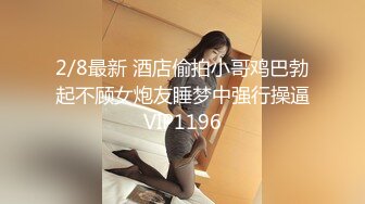 MSD-071_少爷的乖女仆-袁子仪