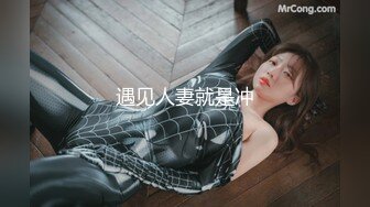 极品女房东灵灵