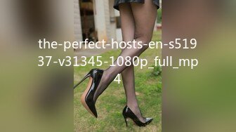 the-perfect-hosts-en-s51937-v31345-1080p_full_mp4