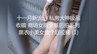 十一月新流出 私房大神极品收藏 商场女厕全景后拍系列 黑衣小美女放个屁拉稀 (1)