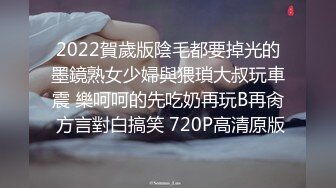 【最强AI】大师级AI绘图大合集，重磅核弹第二弹Vol.2